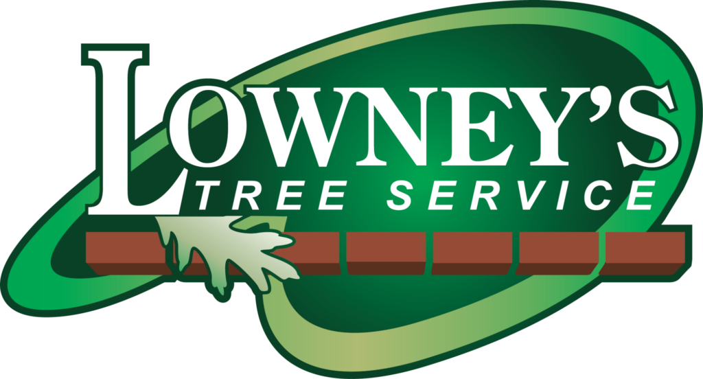 Lowney's Tree Service (formerly Jason's)