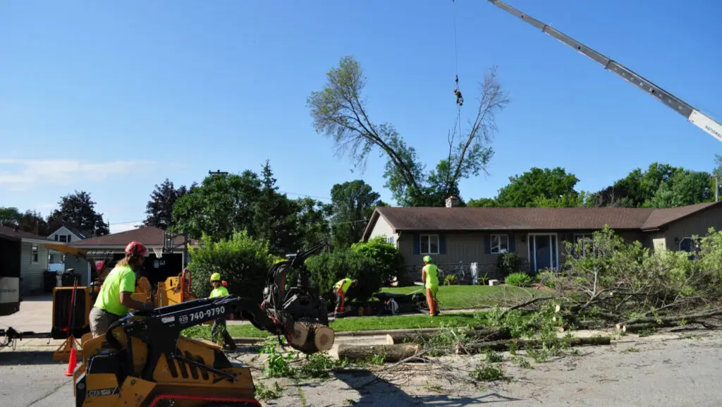 Tree Trimming Green Bay