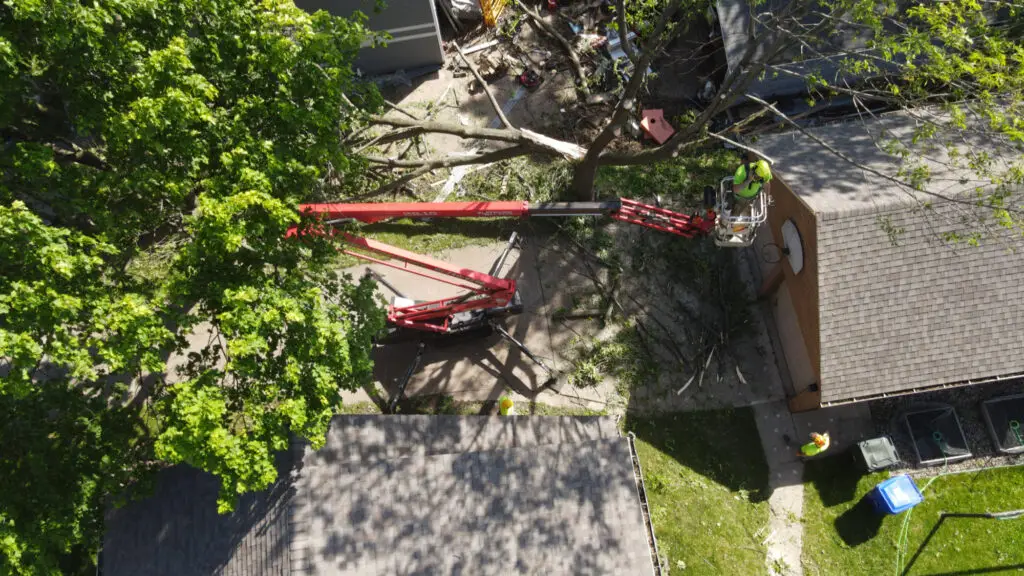 Storm Damage Tree Appleton