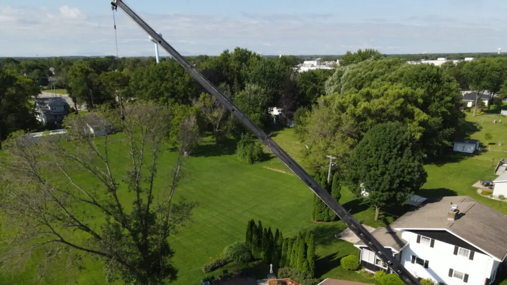 Tree Removal Appleton