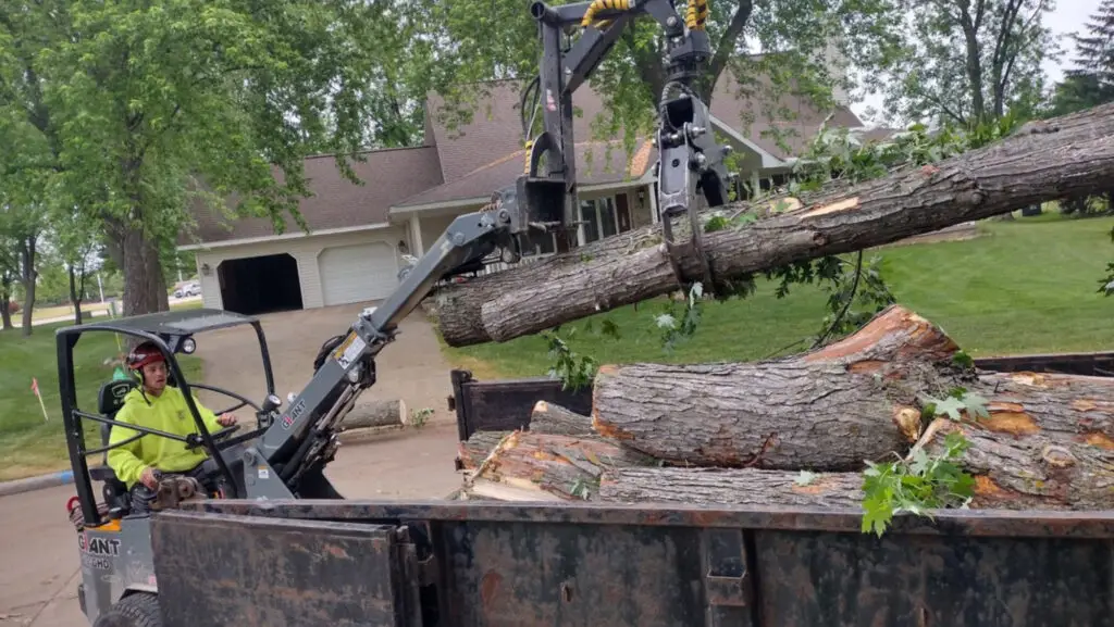 Tree Removal Shawano