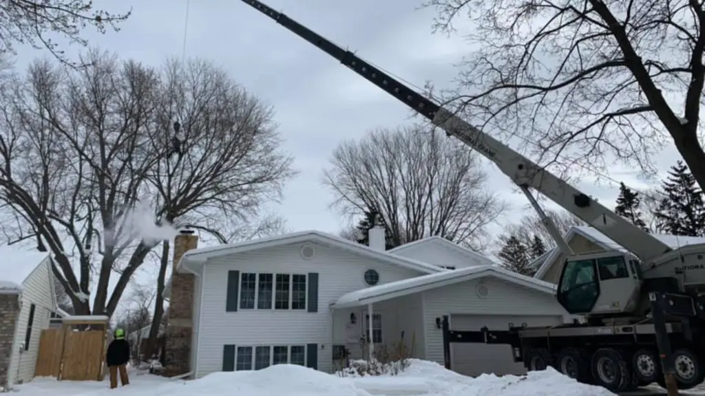 Tree Trimming and Care Winter